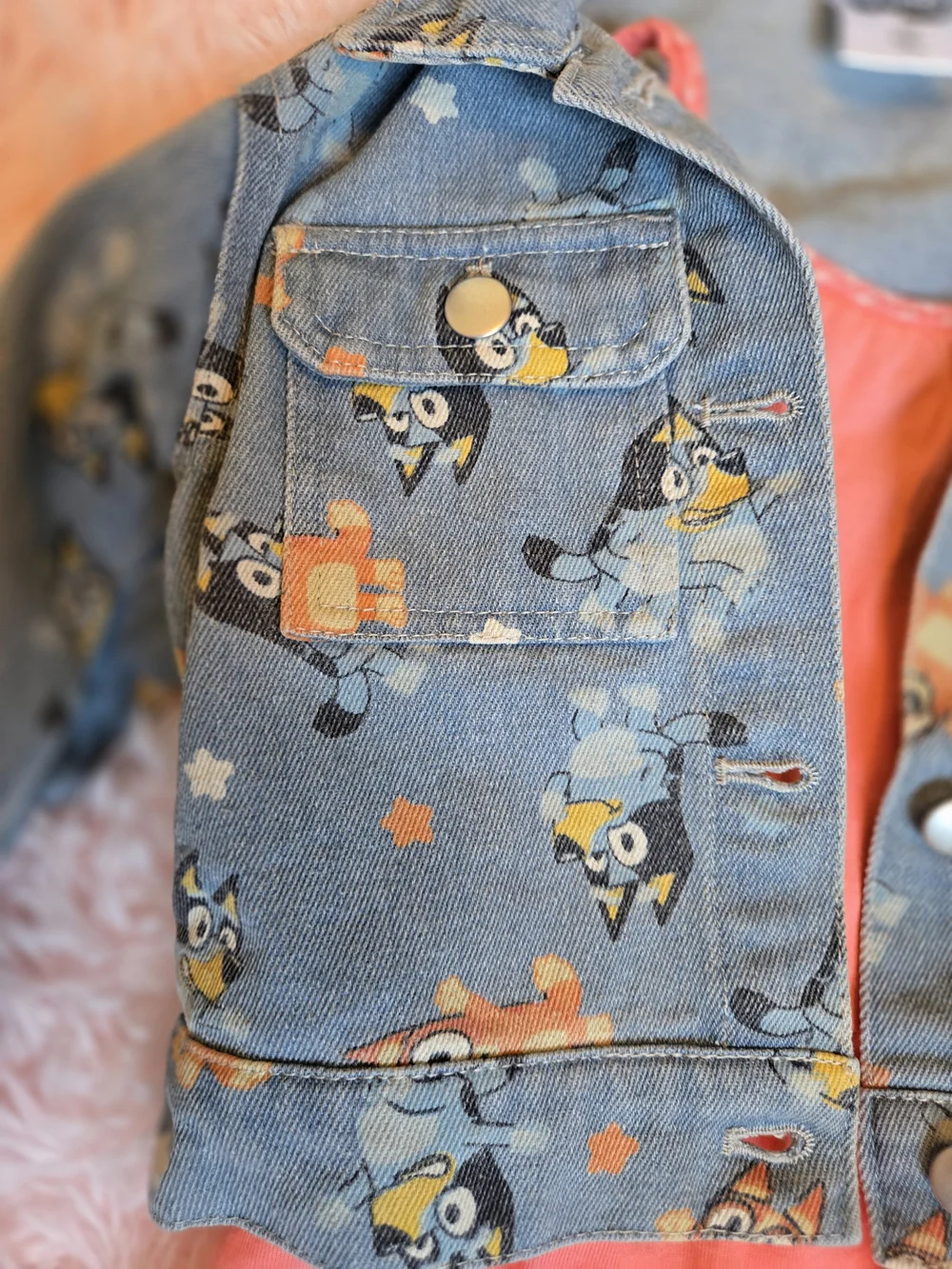 Lucy Blue Denim Jacket with Coral Dress Set